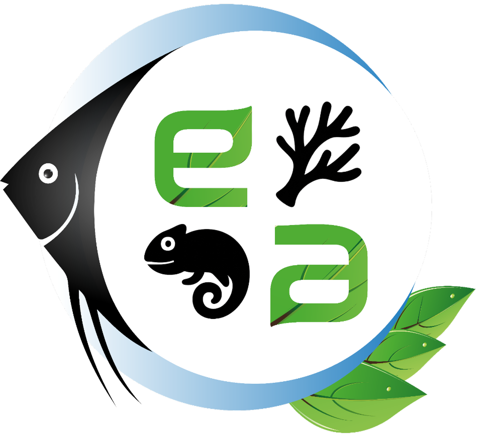 Elemento Aquatico