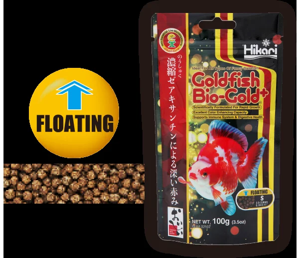 hikari-goldfish-bio-gold-plus-floating-s-100gr-1.webp