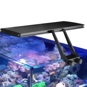 MARINE AND CORALS LED 30CM